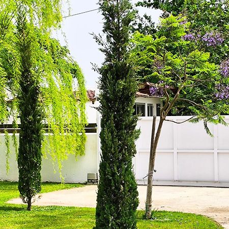Seaside Jacaranda Apartment Schinias Exterior photo
