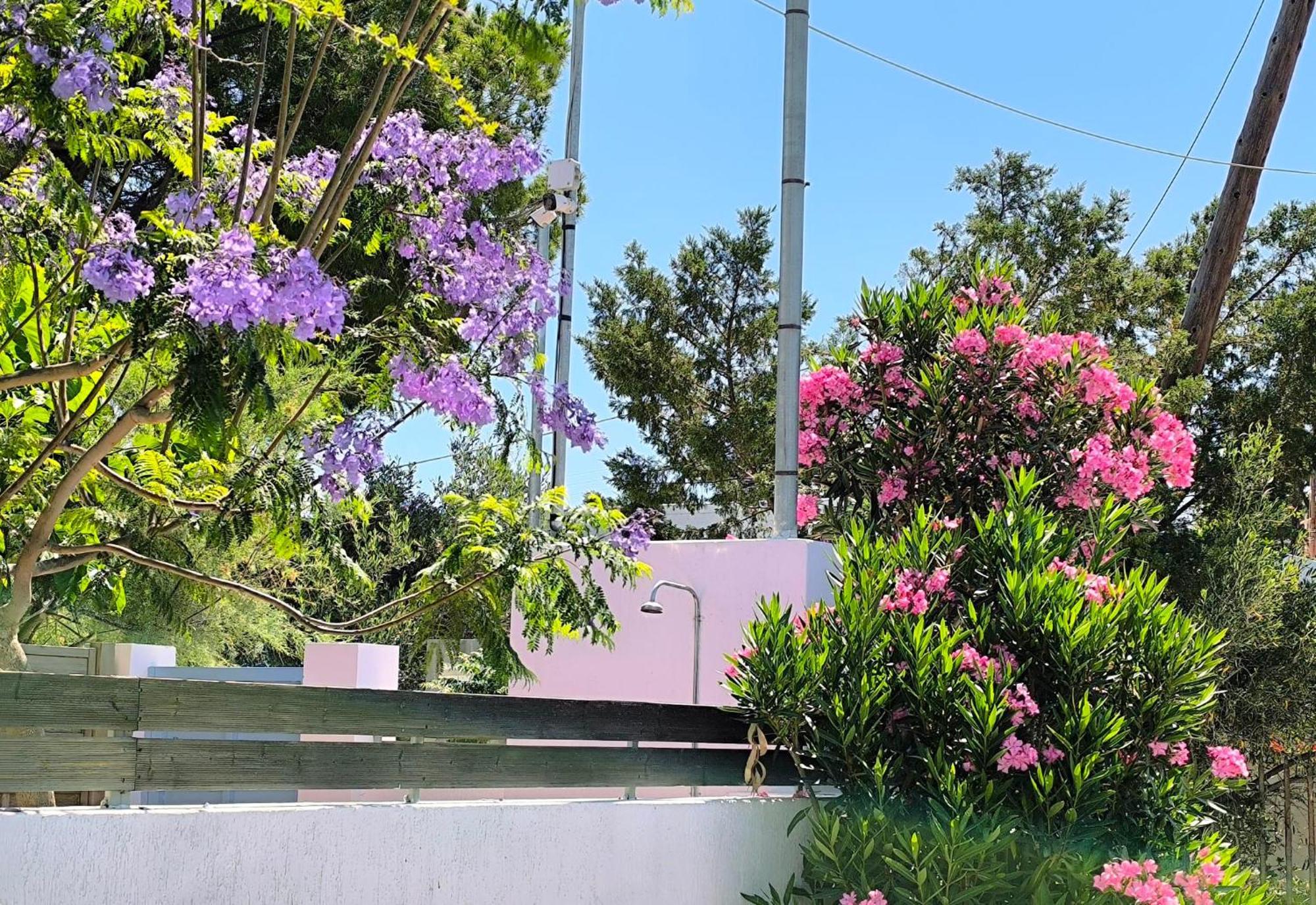 Seaside Jacaranda Apartment Schinias Exterior photo