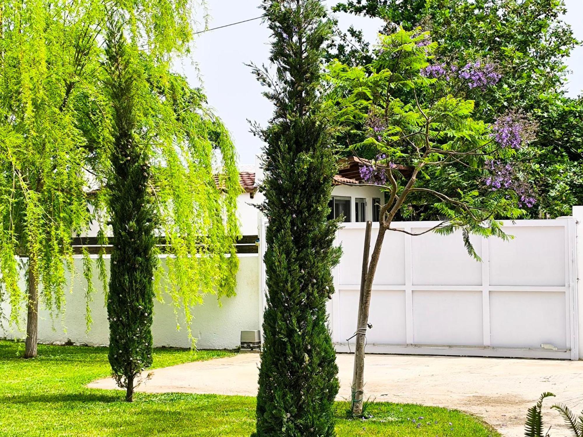 Seaside Jacaranda Apartment Schinias Exterior photo